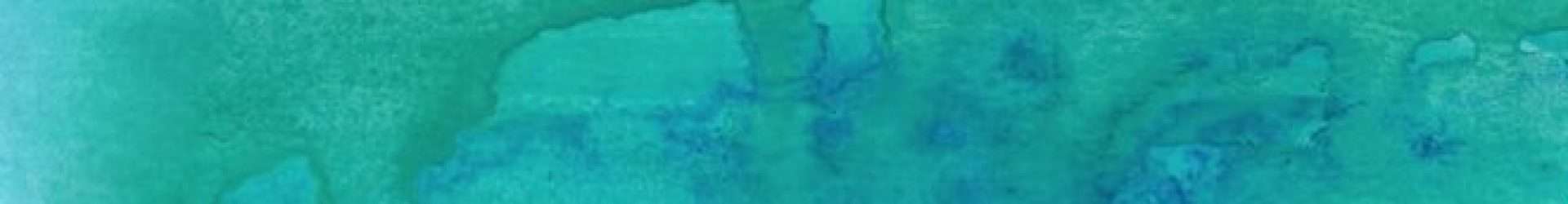 Your Healthy Horizon - Acupuncture Clinic